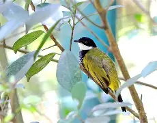 杒?屝dnぇ緸^*eN朾蒓授厑5cjh爼L鹎F貔I?v獩q1A -米兰在线入口